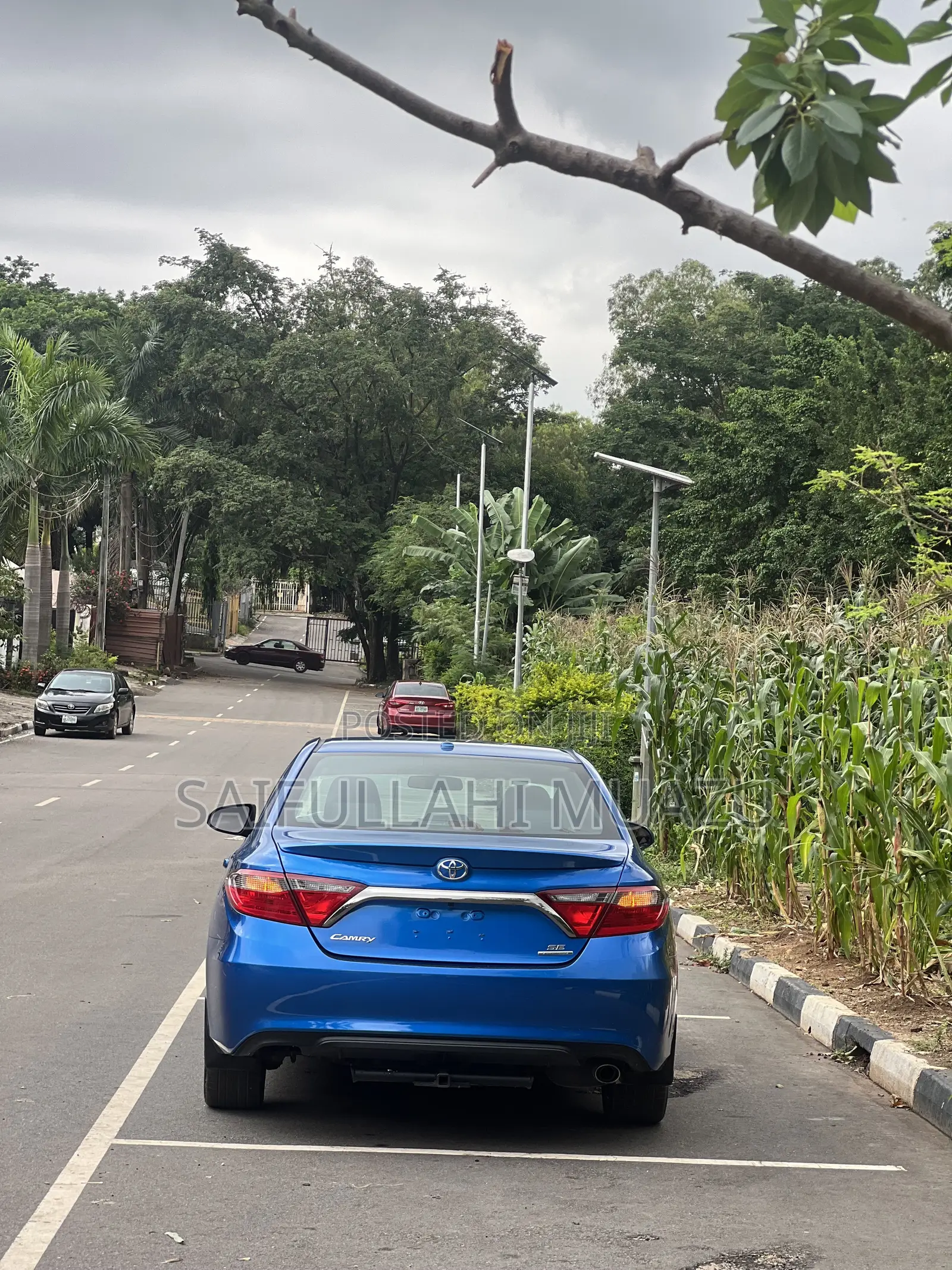 Toyota Camry SE w/Special Edition Pkg (2.5L 4cyl 6A) 2016 Blue