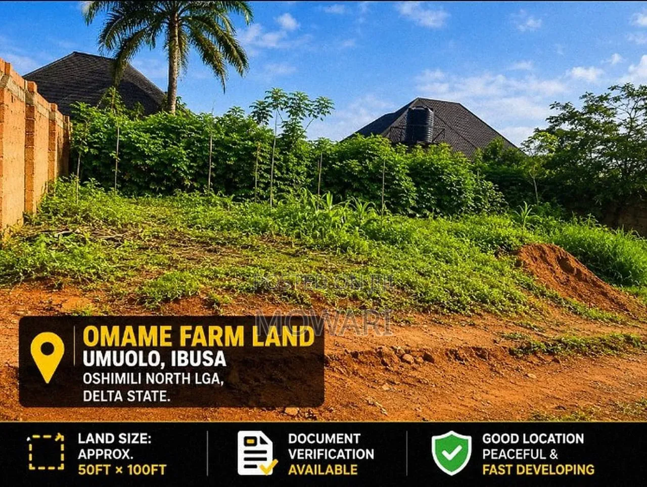 Before You Own Land in Ibusa