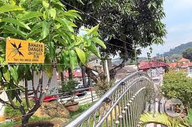 Electric Fence