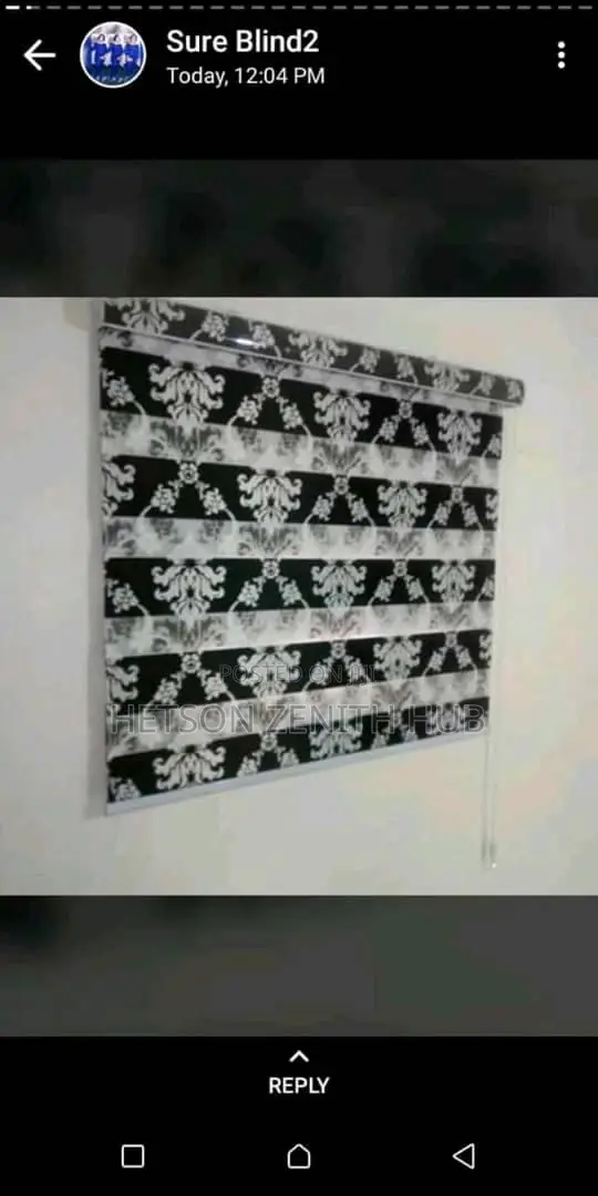 Beautiful Windows Blinds