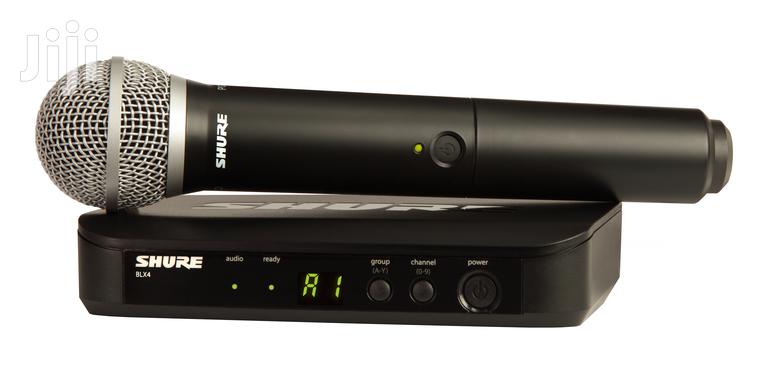 Shure Blx24/Pg58