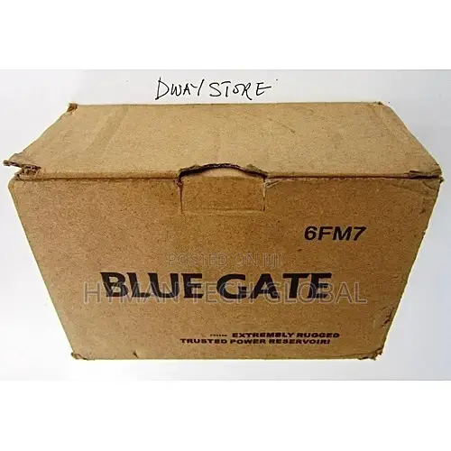 Blue Gate UPS Replacement Battery