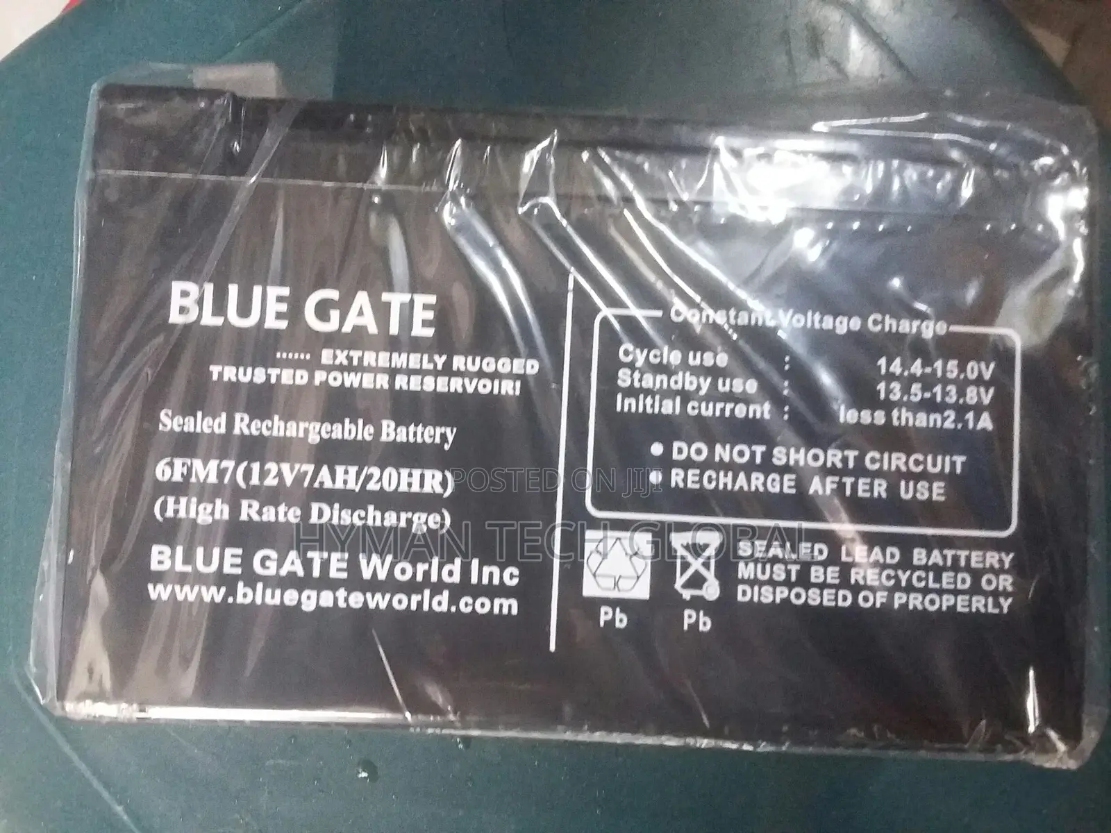 Blue Gate UPS Replacement Battery