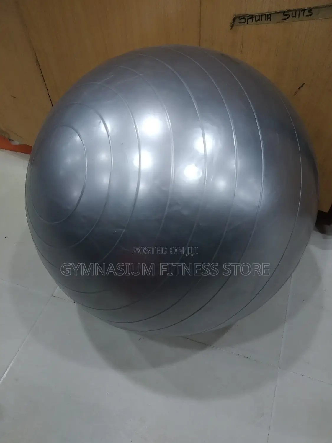 Gym Exercise Ball