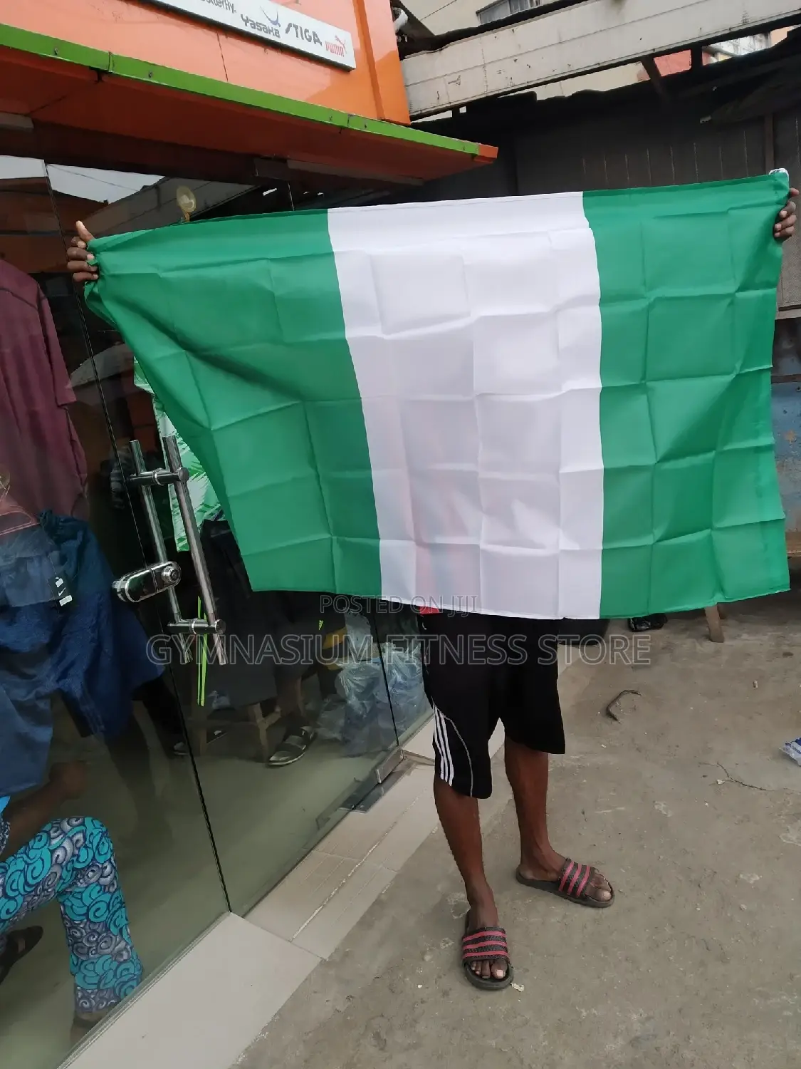 Nigeria Flag 4523