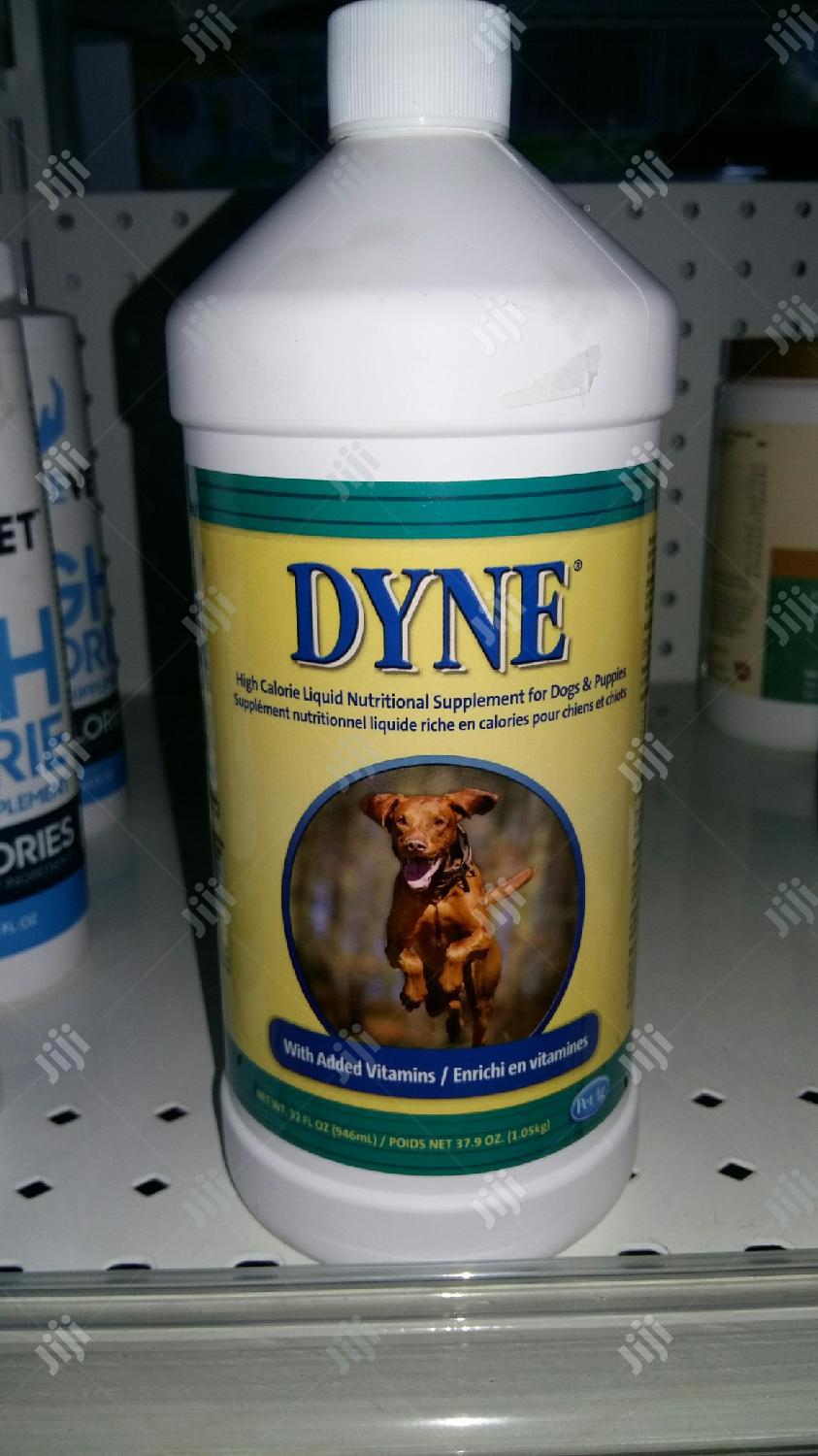 Dyne Liquid Nutrition Supplements For Dog And Puppies 529g