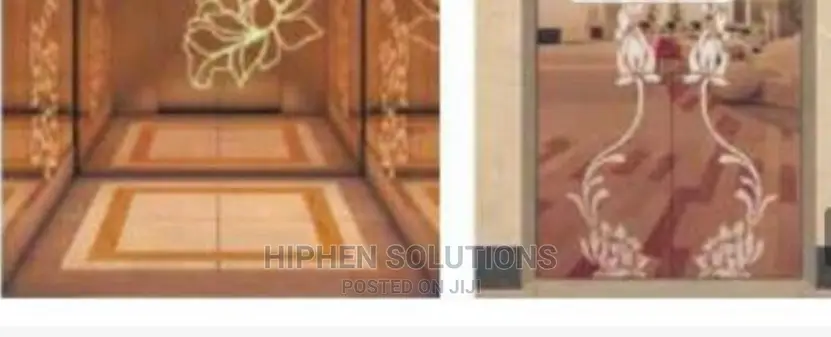VIP Ad Active Decorated Cabin Passenger Lift By Hip