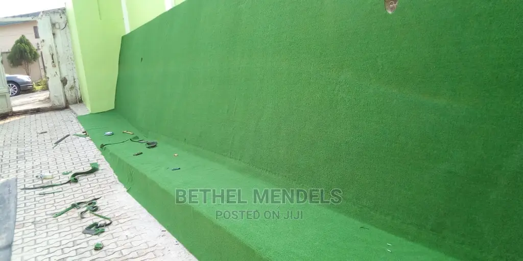 Wall Designs In Nigeria With Artificial Grass