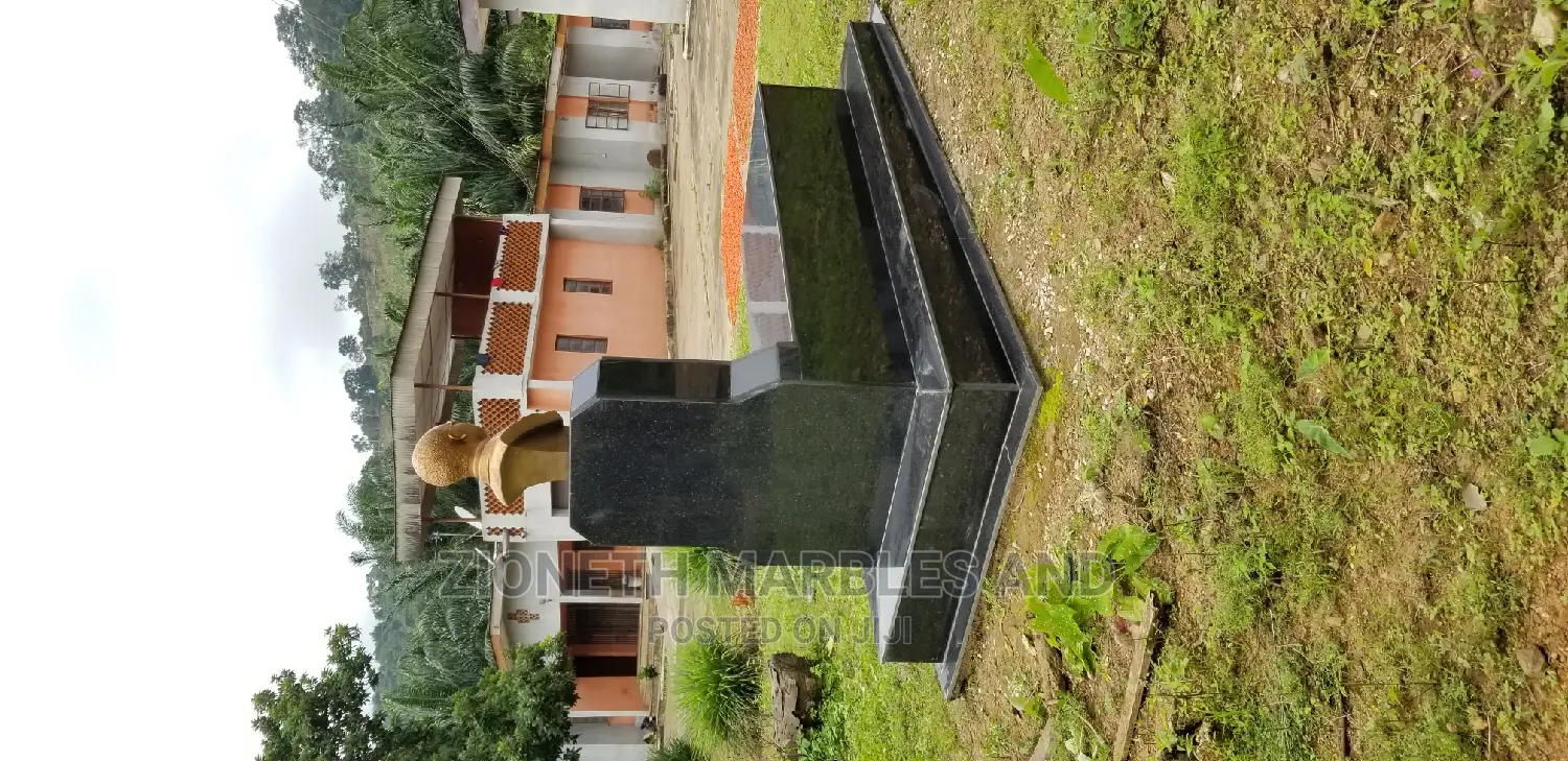 Black Galaxy Granite Slab for Grace Yard