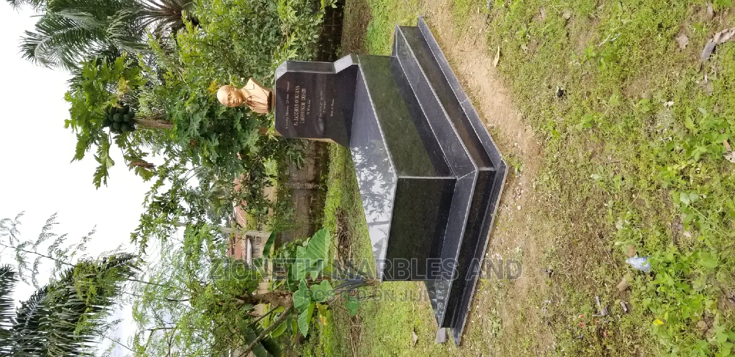 Black Galaxy Granite Slab for Grace Yard