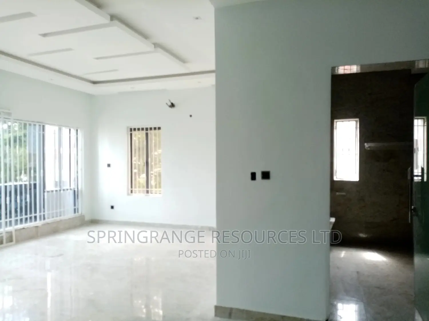 Exclusive Lagos Painters 
