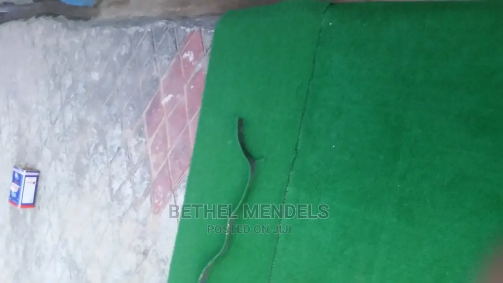Artificial Grass For Pet In Lagos Nigeria