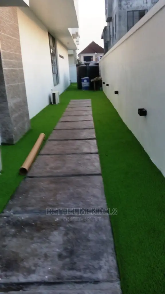 Artificial Grass For Walkway In Lagos