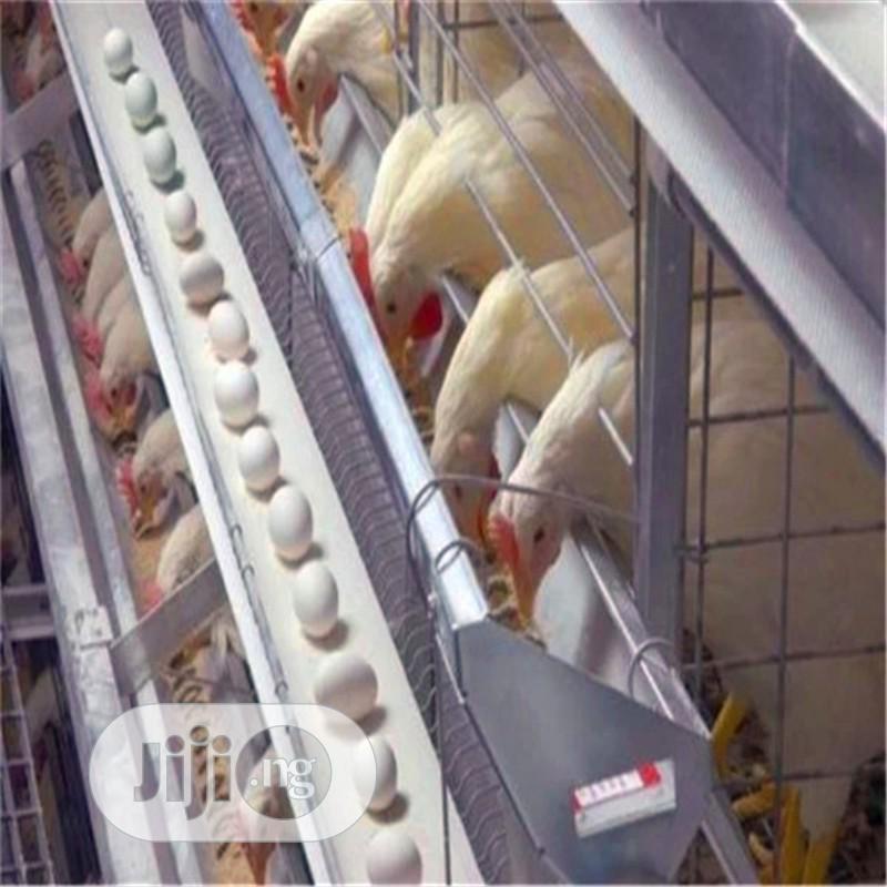 China Factory Battery Cage Poultry Battery Cages Best Quality Cages