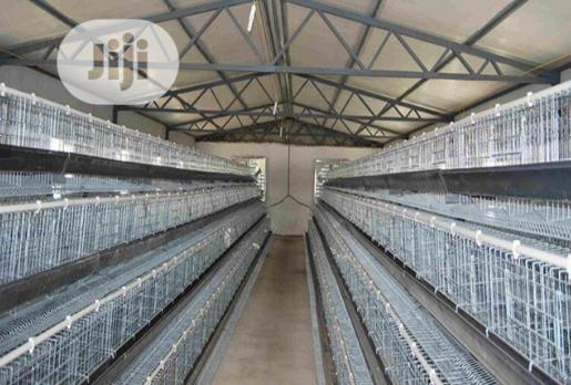China Factory Battery Cage Poultry Battery Cages Best Quality Cages