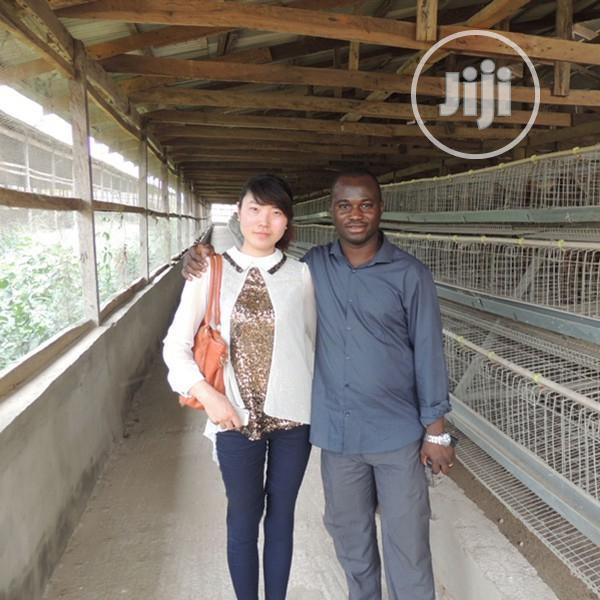 Battery Cage China Factory Poultry Battery Cages