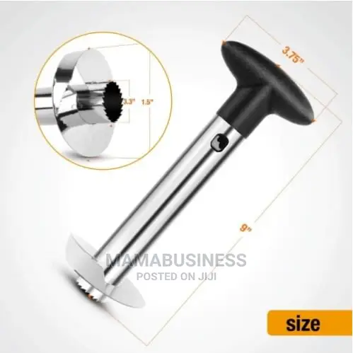 Stainless Steel Pineapple Peeler
