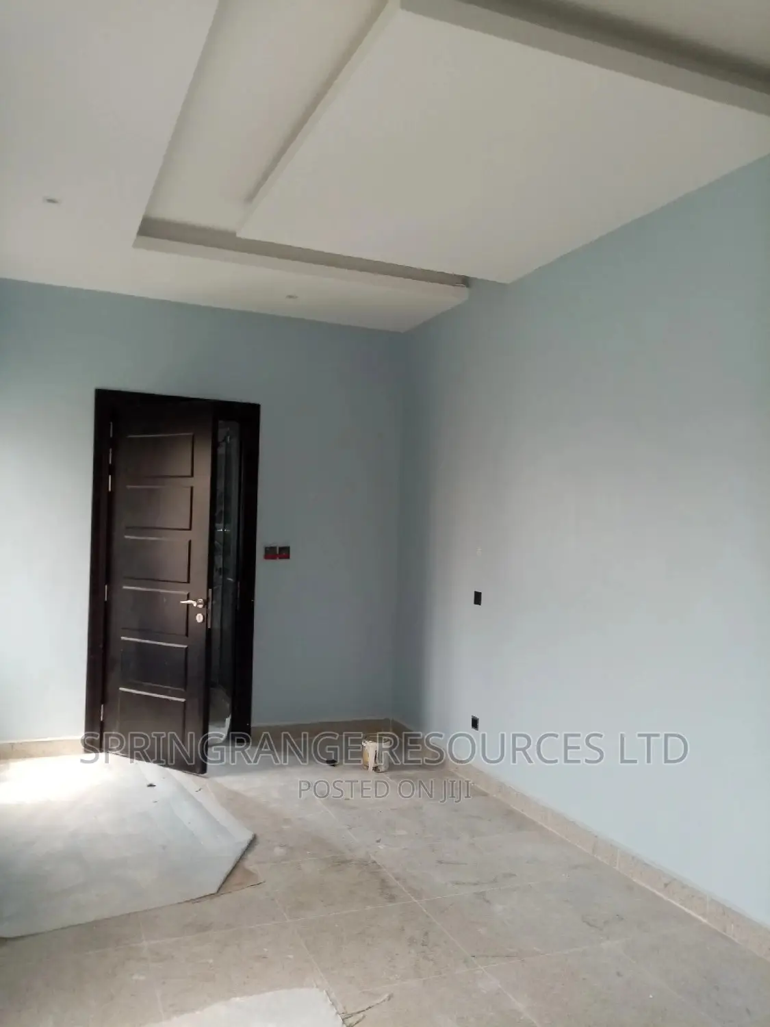 Professional House Painter