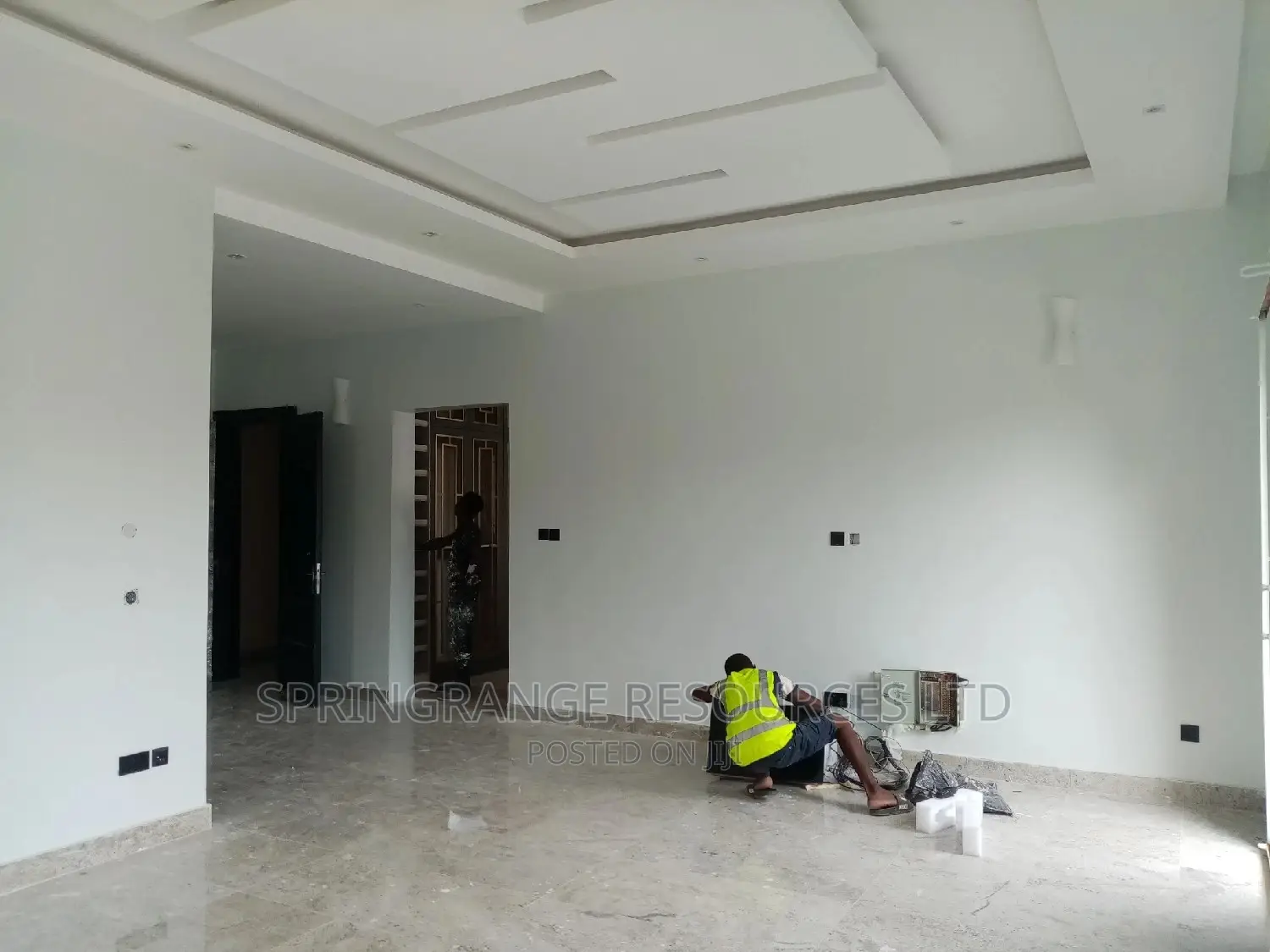 Professional House Painter