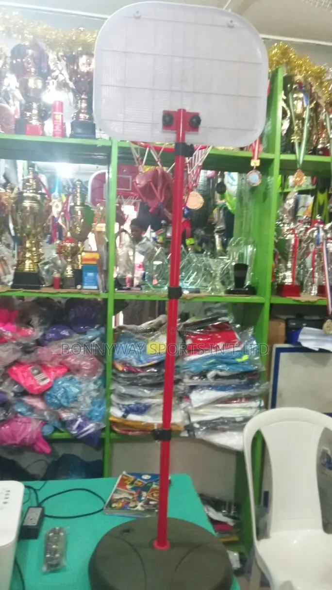 Children Basketball Upright Stand With Pump Nd Balls