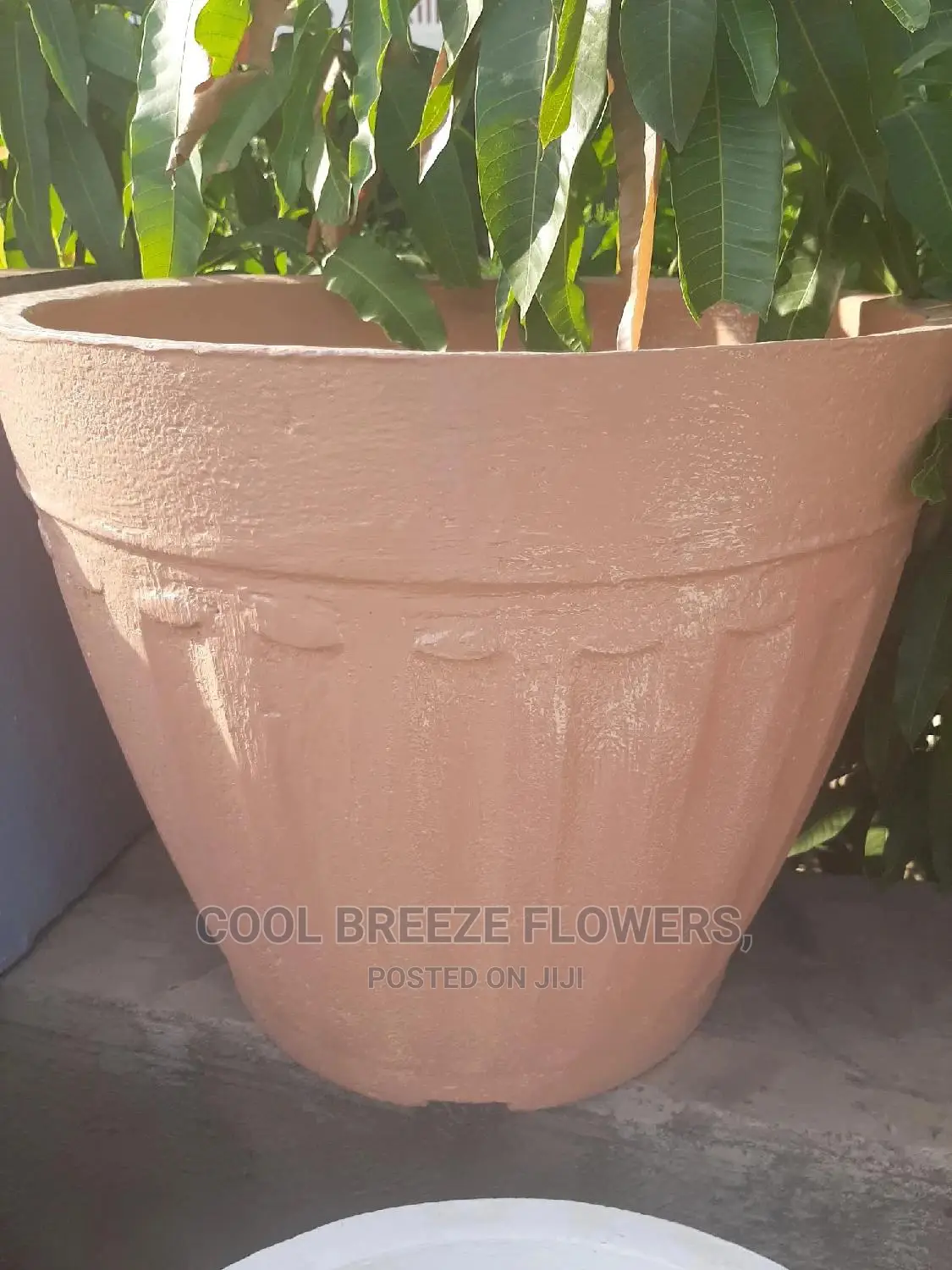Comcrete Pots