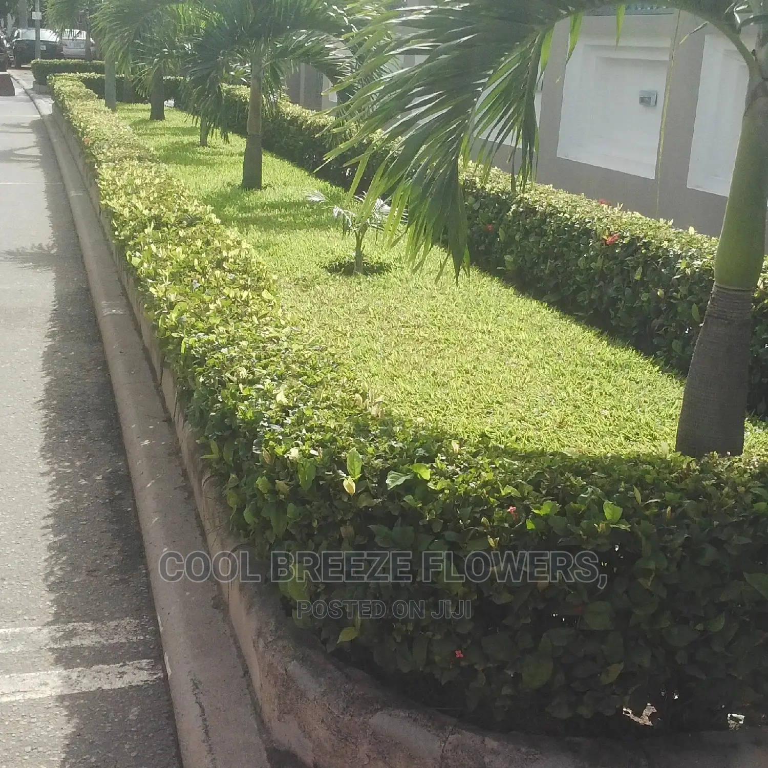 Landscaping