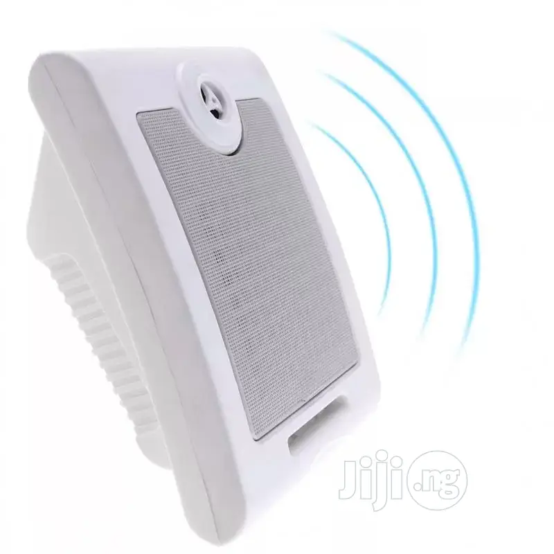 Pro Wall Speaker