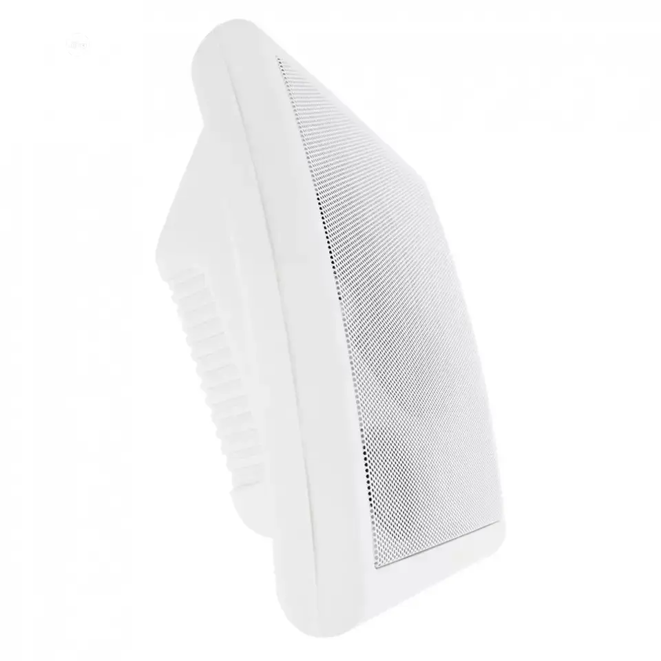 Pro Wall Speaker