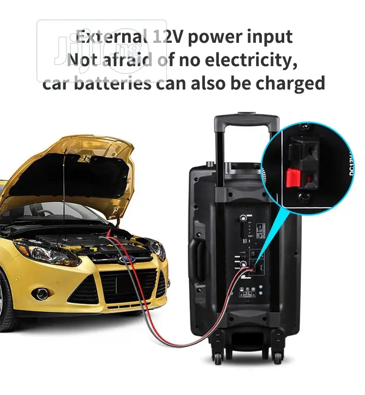 Rechargeable PA With Bluetooth, USB, 2 Wireless Mic