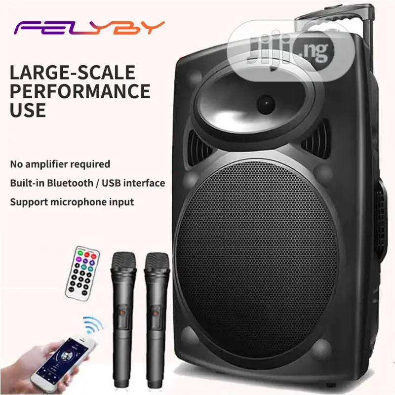 Rechargeable PA With Bluetooth, USB, 2 Wireless Mic