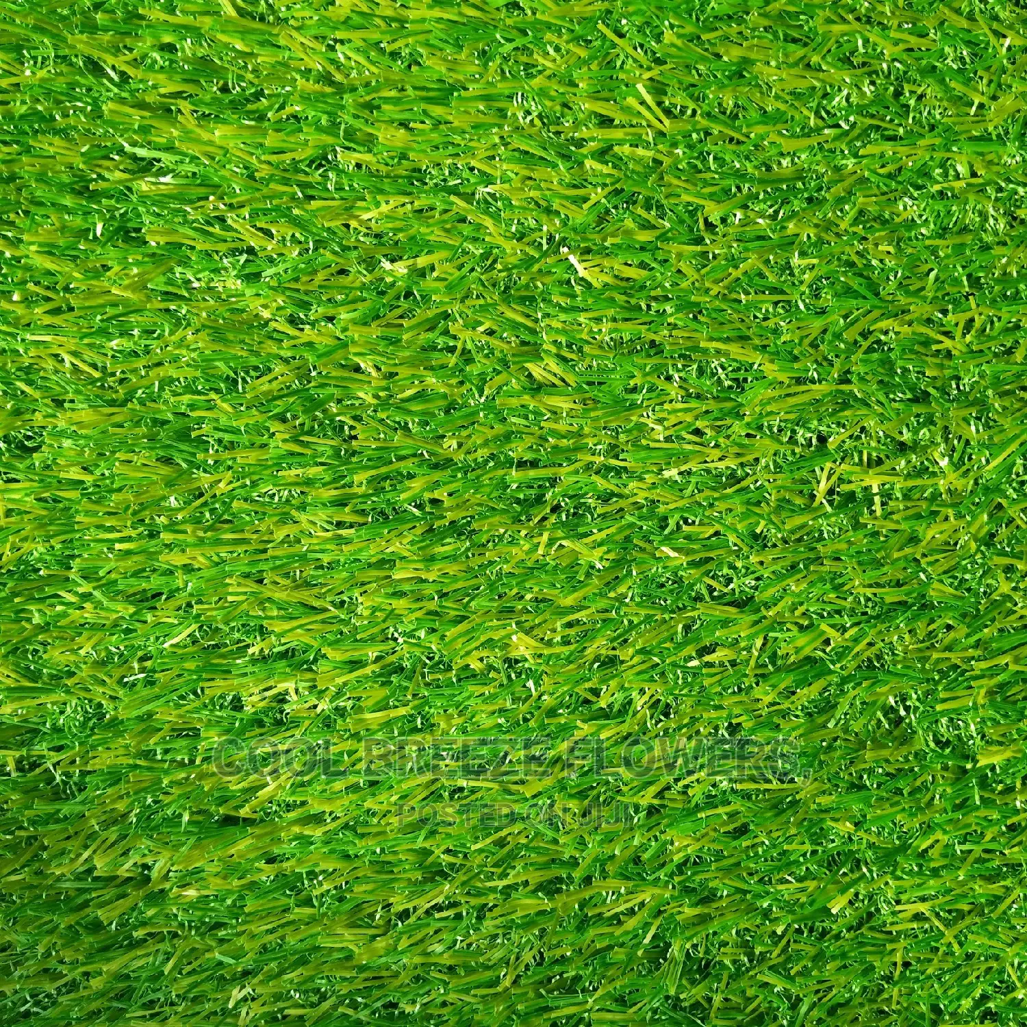 Lastest/ Quality Artificial Grass