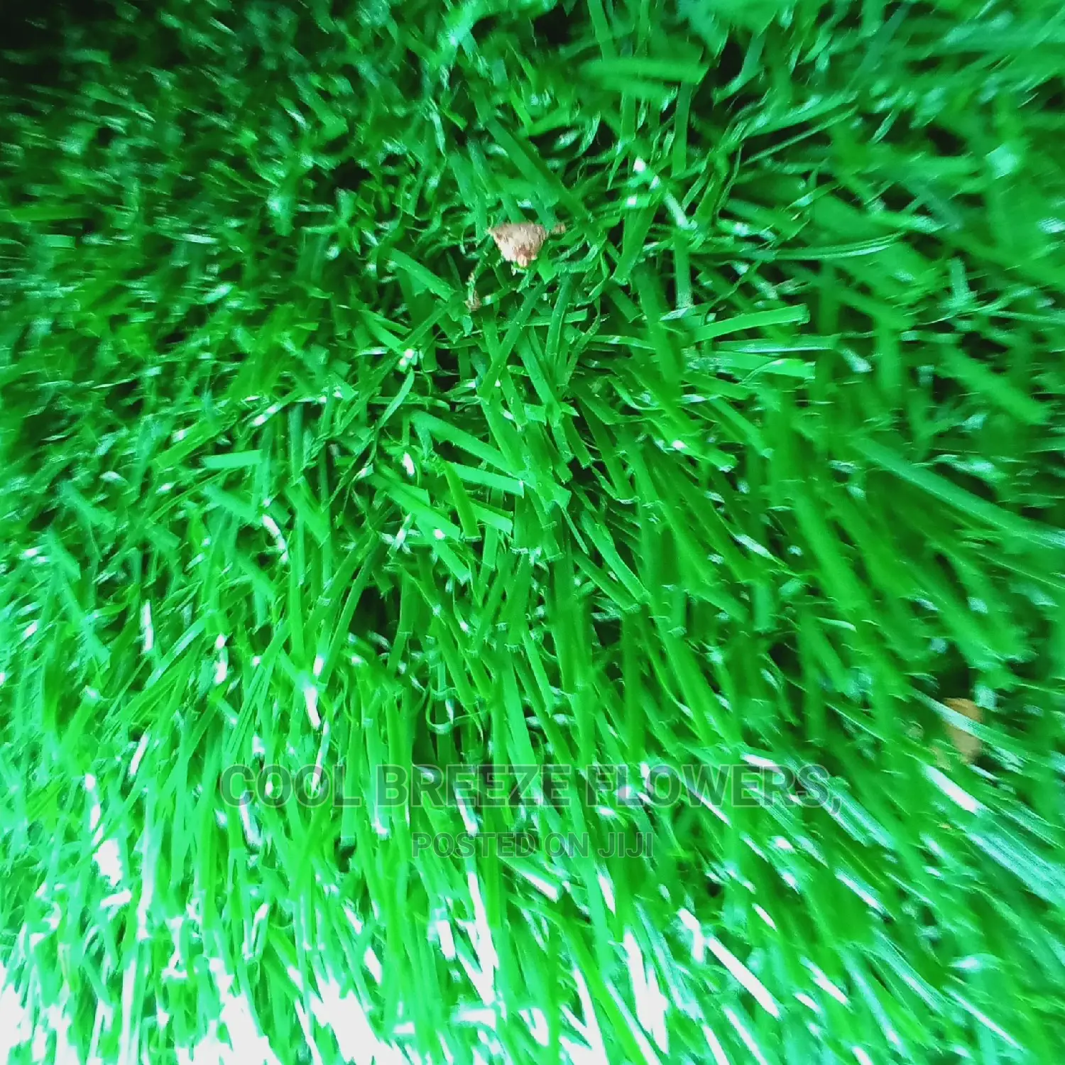 Lastest/ Quality Artificial Grass