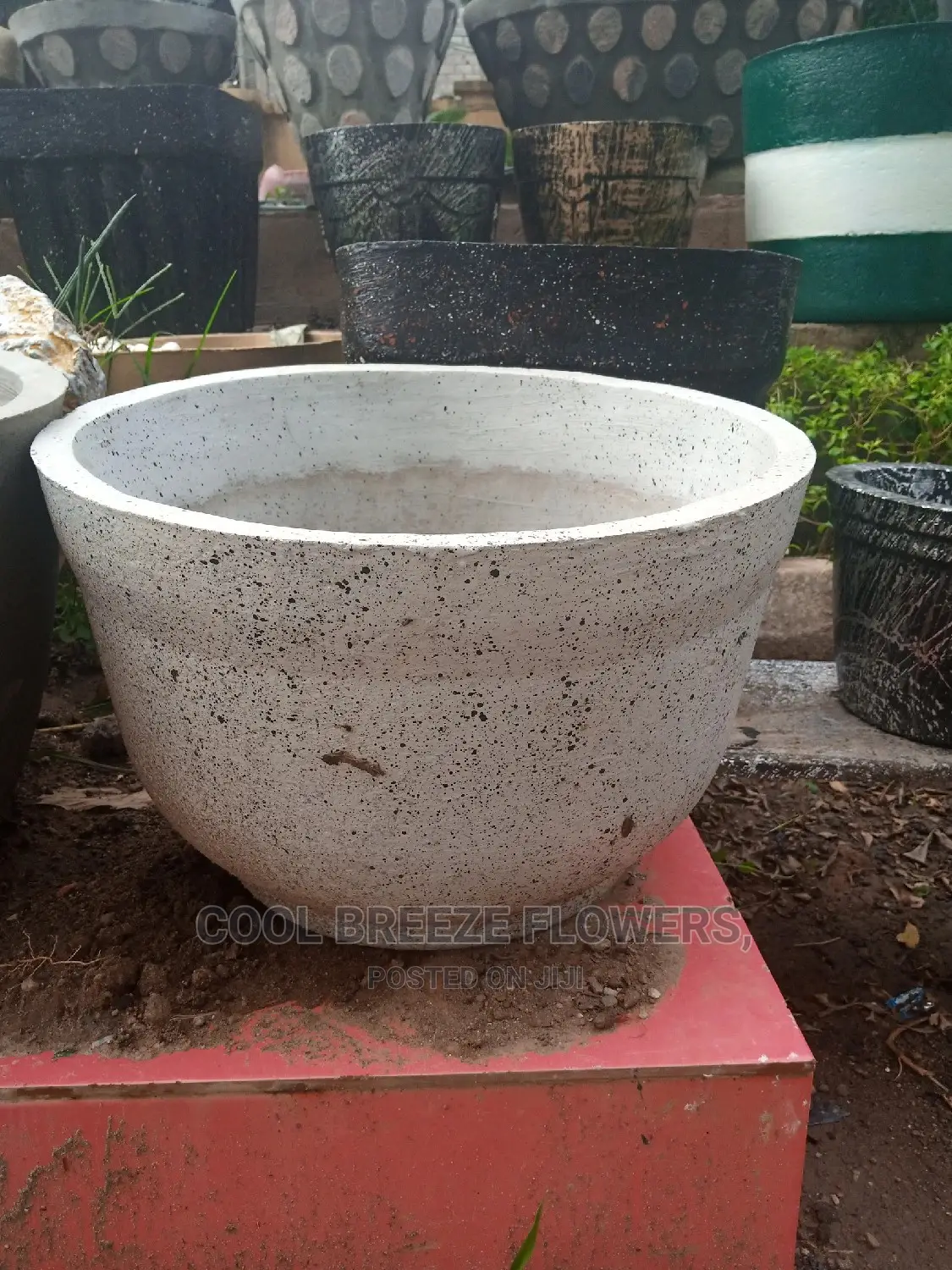 Cement Flower Pot For Out Door Plants
