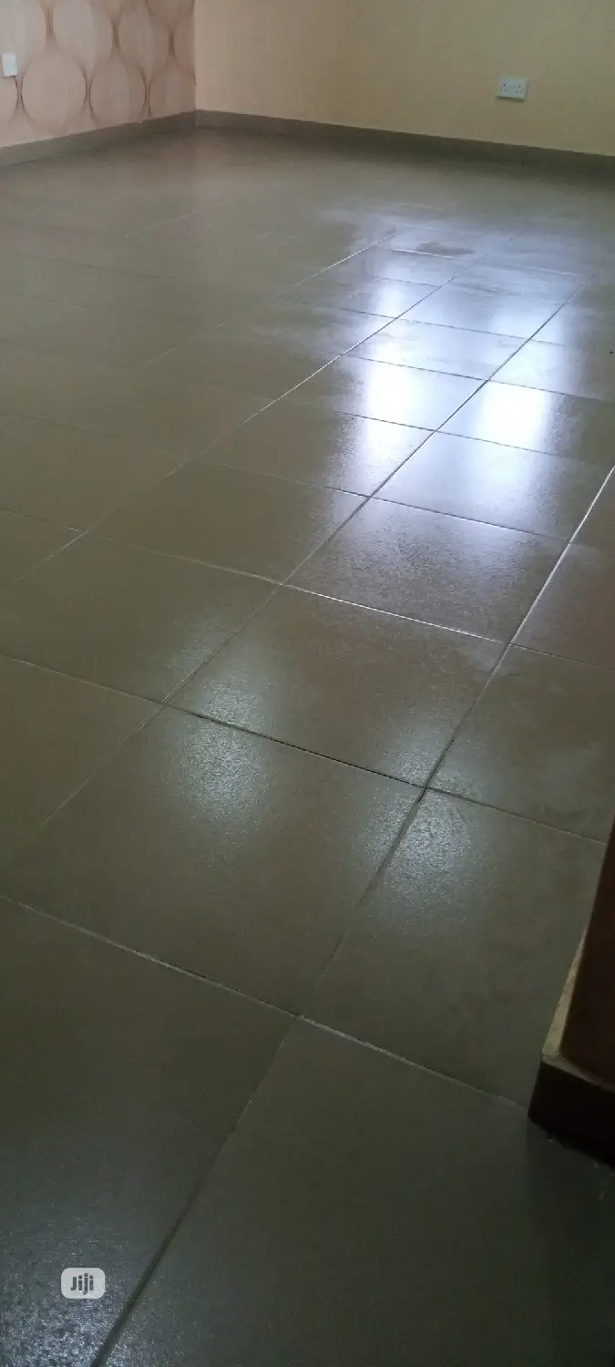 Professional Cleaning Services and Pos Constriction Cleanin