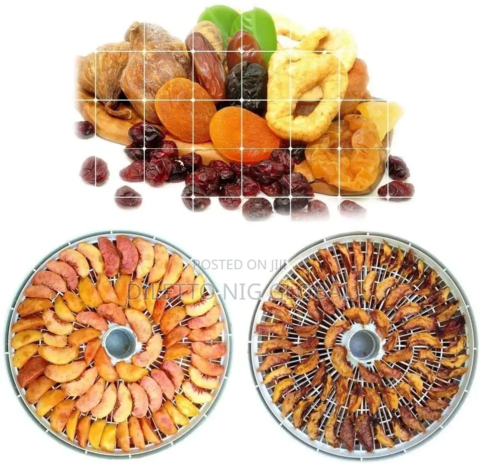 Kenwood Dehydrator for Food Fruit