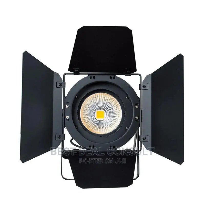 Cob Led Par Light