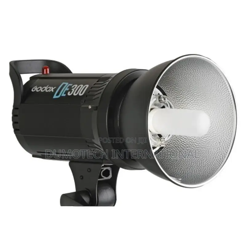 Godox DE 300 Studio Strobe Light (2pcs) + Stands + Umbrellas