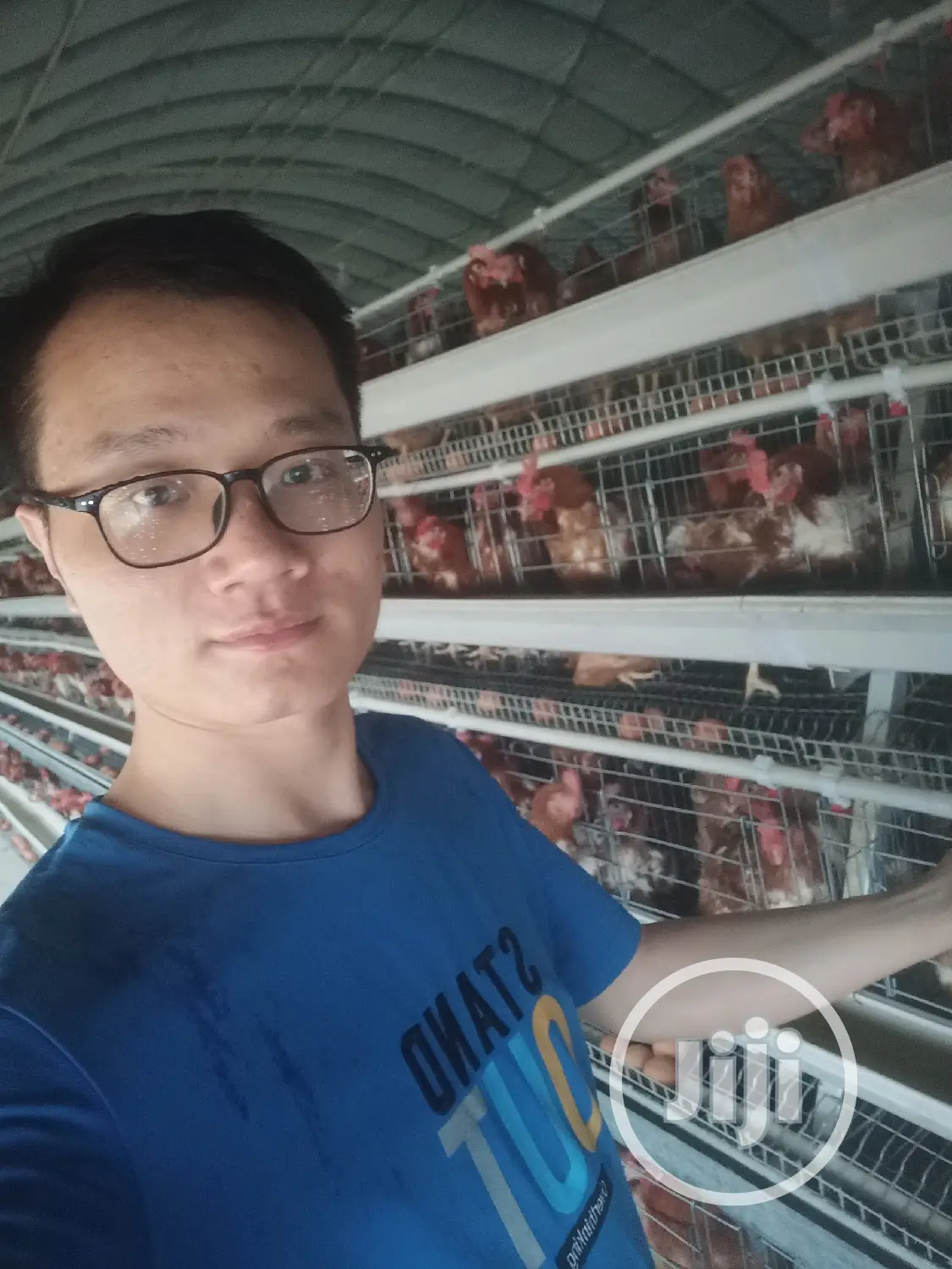 Battery Cage China Factory Poultry Battery Cages