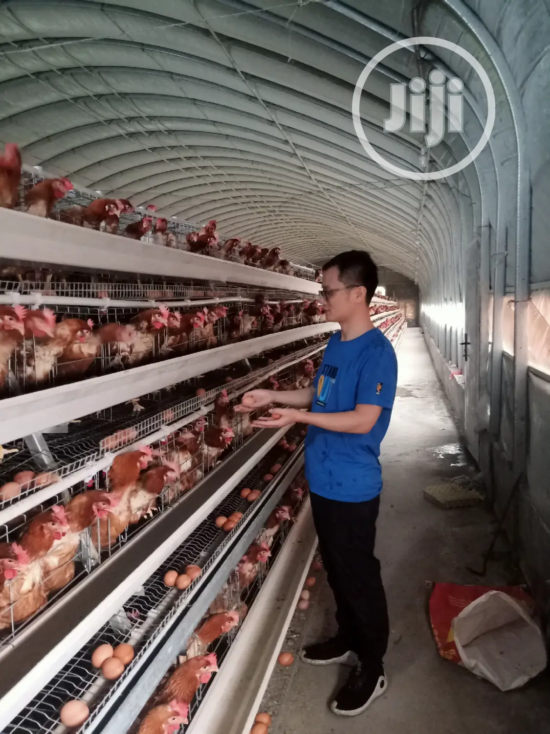Battery Cage China Factory Poultry Battery Cages