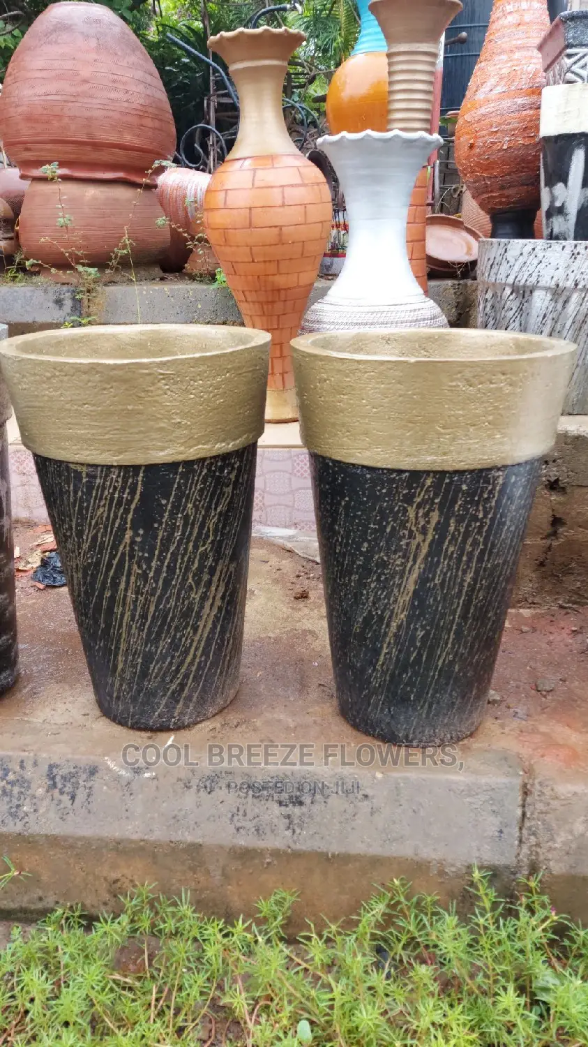 Flower Pots For Indoors And Outdoors Plant's