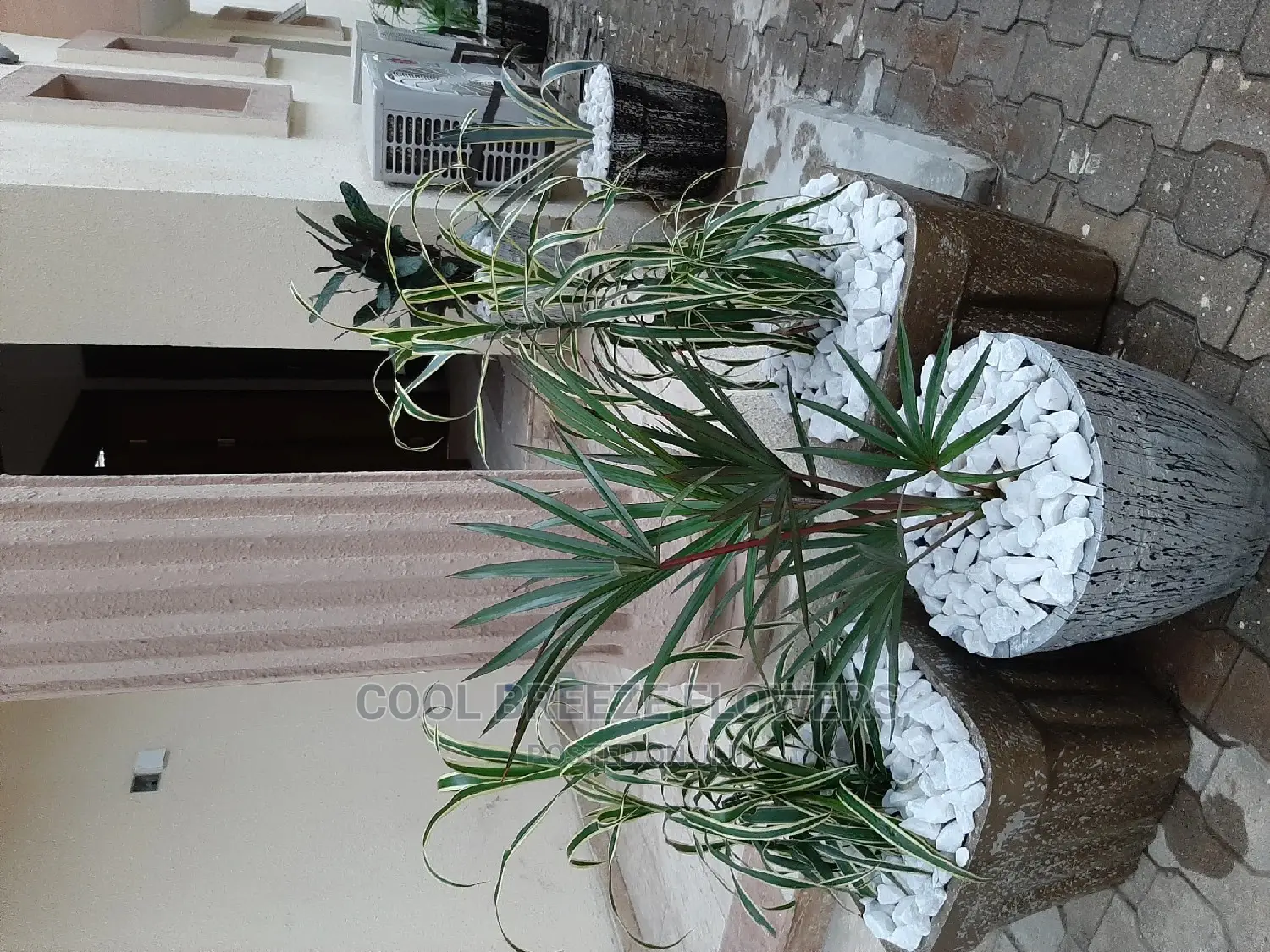 Flower Pots For Indoors And Outdoors Plant's