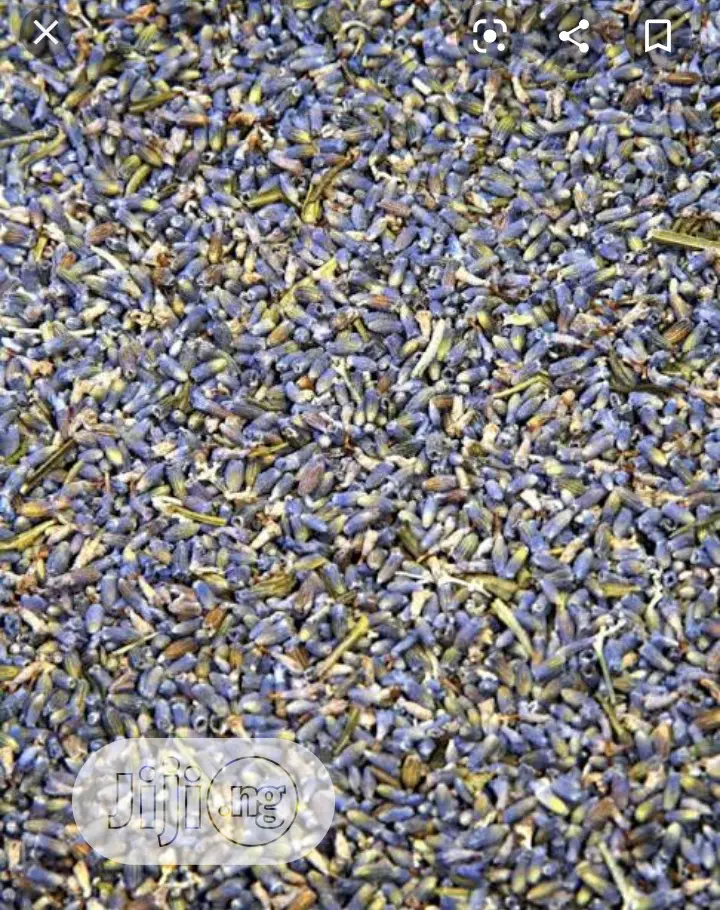 Lavander Buds Dried Anti Inflammatory Anti Bacteria 250g