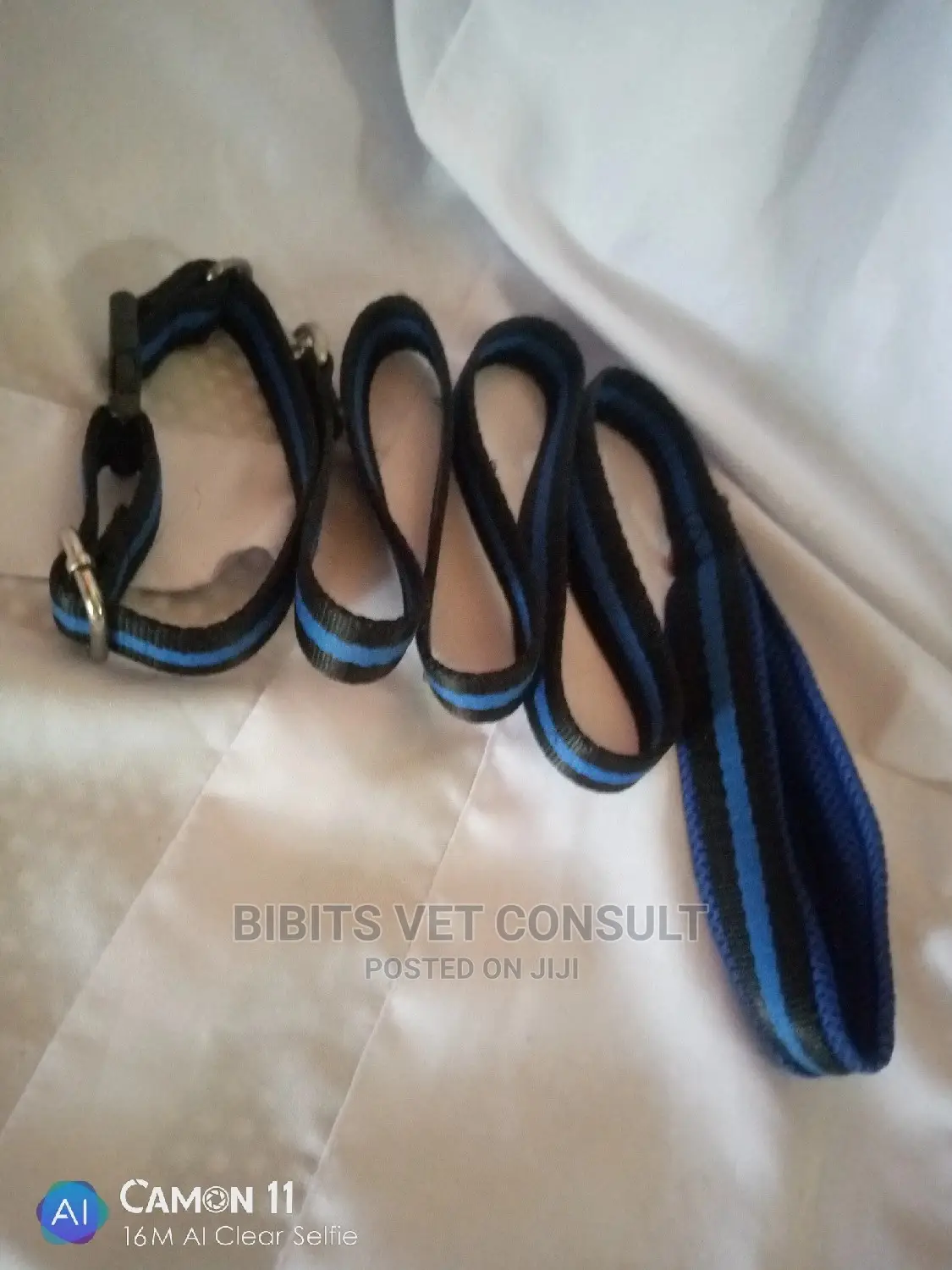 Leash and Collar for Puppy and Medium Sized Dogs