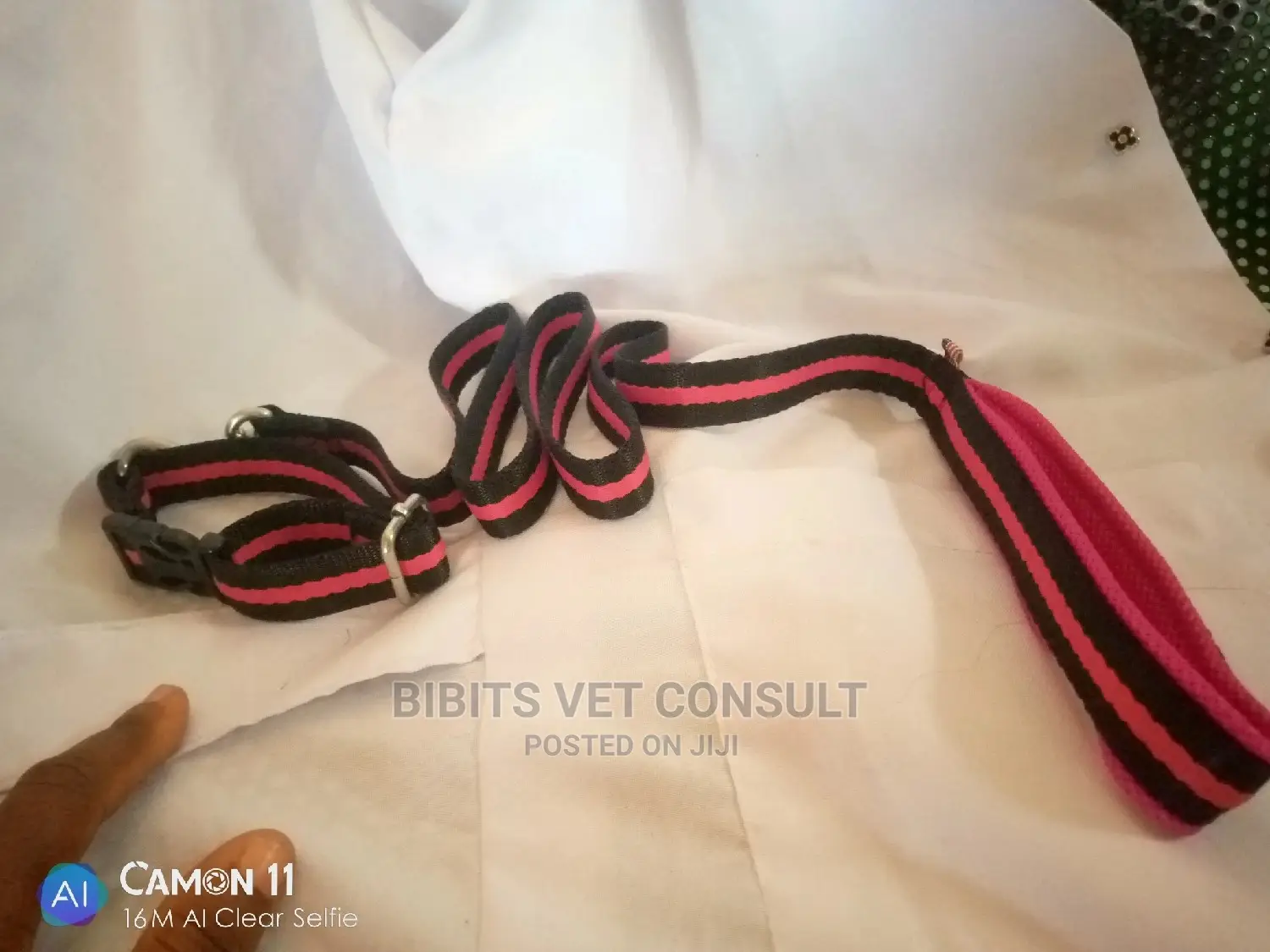 Leash and Collar for Puppy and Medium Sized Dogs