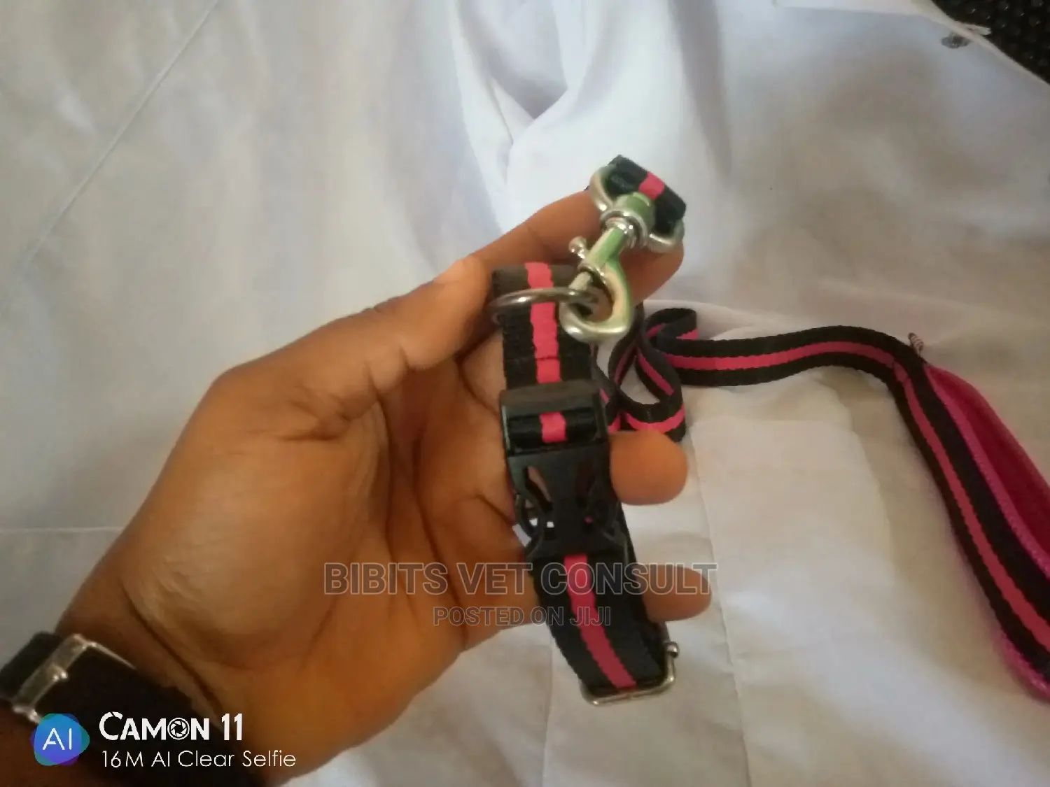 Leash and Collar for Puppy and Medium Sized Dogs