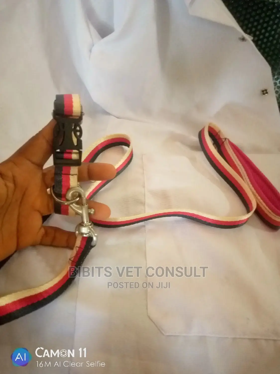 Leash and Collar for Puppy and Medium Sized Dogs