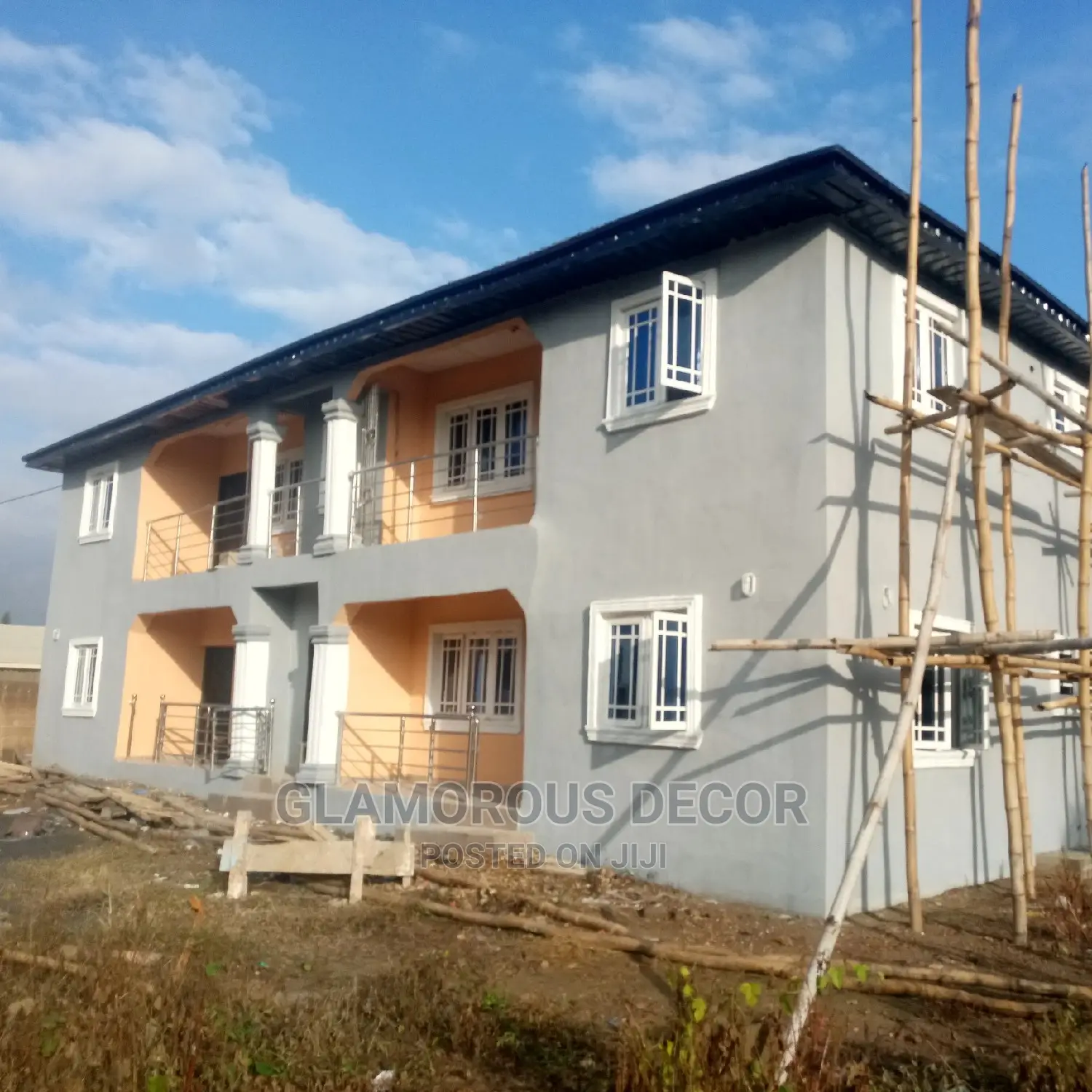 Proffesional House Painting, Wall Screeding, Stucco Etc