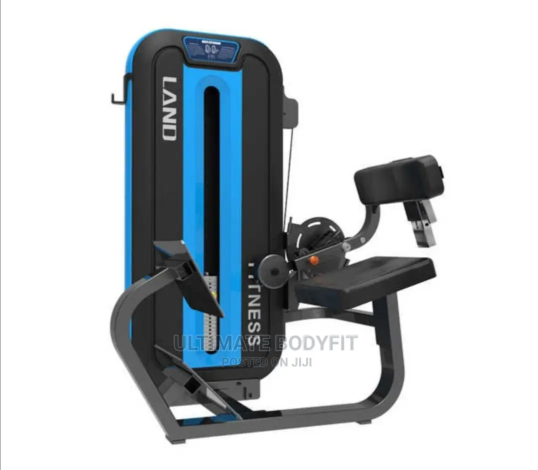 Brand New Back Extension Machine