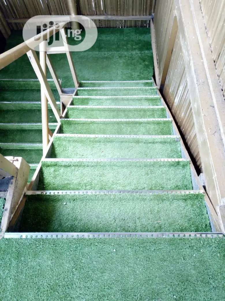 Carpet Grass / Artificial Grass