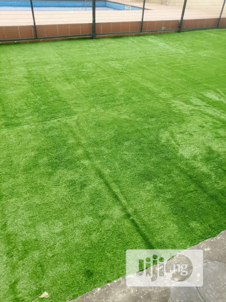 Carpet Grass / Artificial Grass